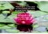 lotus-flower-on-water jpeg PATTERN 1 Example