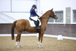 SBM_004453