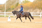 SBM_000644