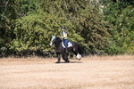 WJ6_7544