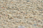 230708A-091500-02028