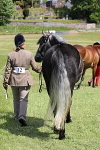 SIAL6789