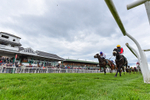 Race 6 16.50pm Bet At racingtv.com Handicap portfolio