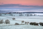 z2587 Winter View over Ashey and Beyond