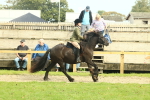 SBM_69363