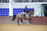 SBM_001663