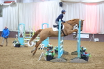 SBM_008047