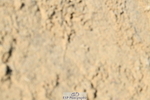 251004A-120646-00898