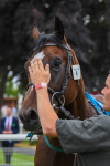 170623-Race 5-Twilight Romance-0823