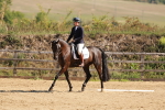 SBM_009964