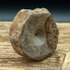 vert195 Ichthyosaurus sp Vertebrae