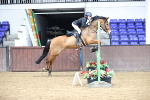 SBM_009915