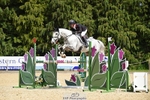 118-HIGH_HOPES_VIKING-Harry_Meade-SUNTrotUp+SJ portfolio