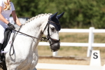SBM_001780
