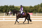 SBM_005674