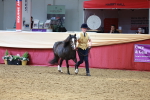 SBM_17366