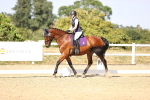 SBM_006692