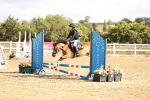 SBM_006203