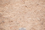 240525A-093154-05111