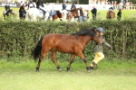 SBM_68520