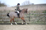 SBM_004773