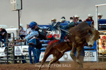 3HRodeo7-10-24_3HR1383_LJD