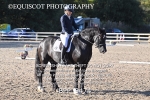 BPP_9474