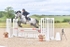 BPP_1587
