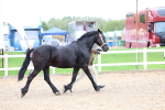SBM_01281