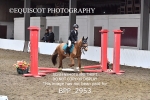 BPP_2953