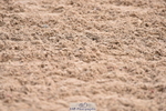 230511A-110728-00407