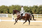 SBM_004637