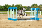 SBM_001080