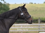 BPP_7575