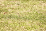SBM_17689