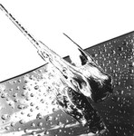 BW32