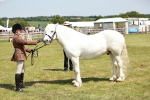 SBM_07142