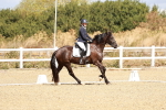 SBM_003531