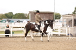 SBM_02804