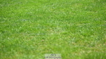 250703A-120535-03511