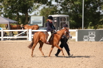 SBM_03089