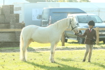 SBM_57381