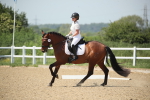SBM_009604