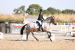 SBM_01754