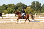 SBM_007059