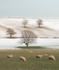Manor Farm, Easthope