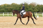 SBM_002941