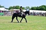 SBM_17415