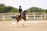 SBM_008766
