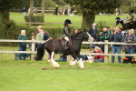 SBM_71697